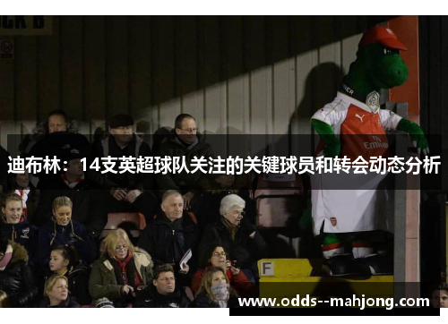 迪布林：14支英超球队关注的关键球员和转会动态分析