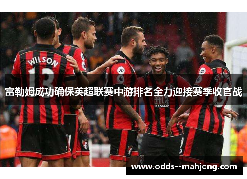 富勒姆成功确保英超联赛中游排名全力迎接赛季收官战 富勒姆成功确保英超联赛中游排名全力迎接赛季收官战