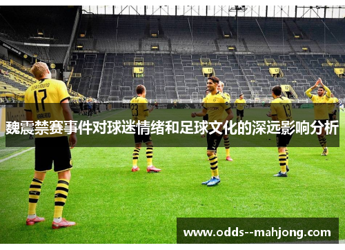 魏震禁赛事件对球迷情绪和足球文化的深远影响分析