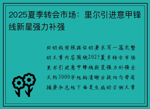 2025夏季转会市场：里尔引进意甲锋线新星强力补强